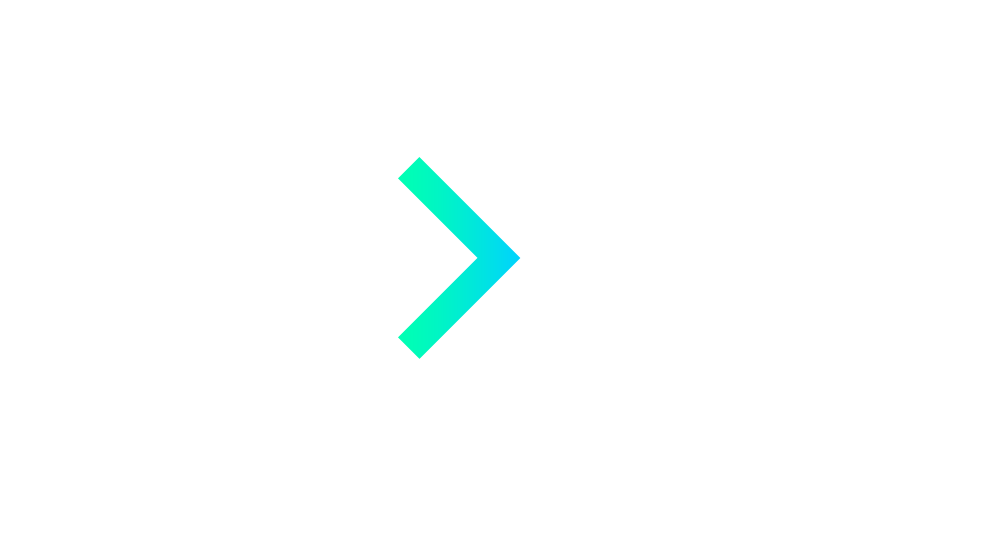 mobile Datenerfassung icon
